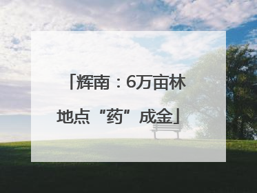 辉南：6万亩林地点“药”成金